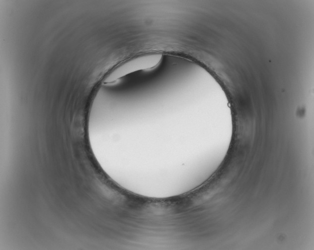 X0000091340489200709071221