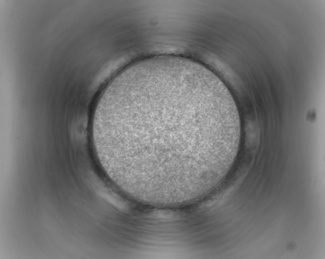 X0000091340490200709071221