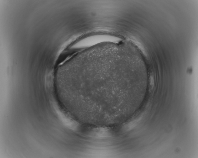 X0000091340492200709071221