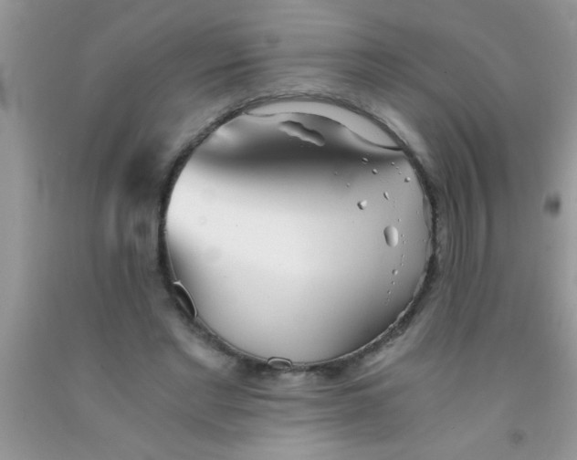 X0000091340493200709071221