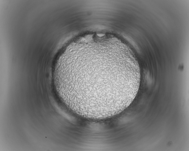 X0000091340494200709071221