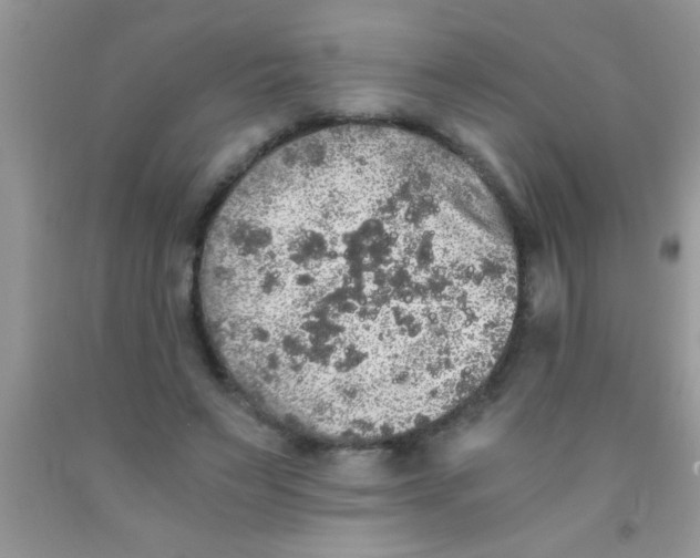 X0000091340495200709071221