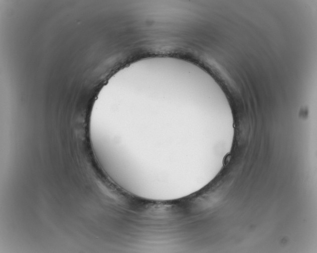 X0000091340497200709071221