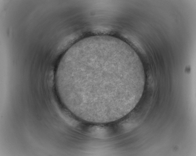 X0000091340498200709071221