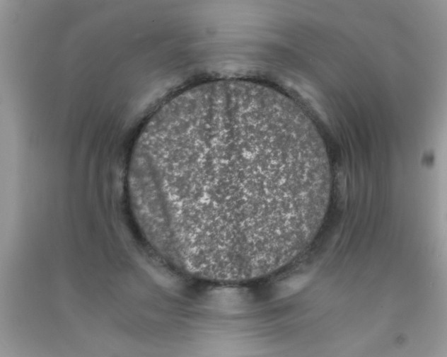 X0000091340499200709071221