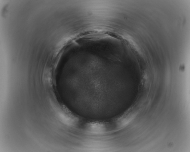 X0000091340500200709071221