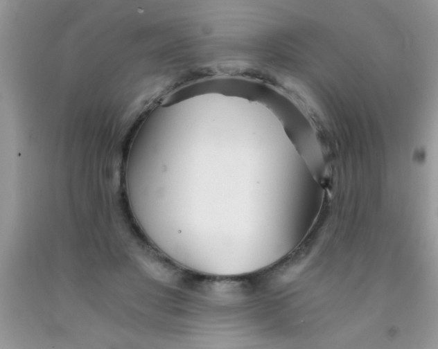 X0000091340501200709071221