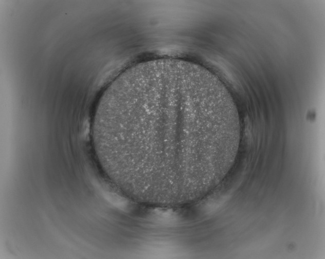 X0000091340502200709071221