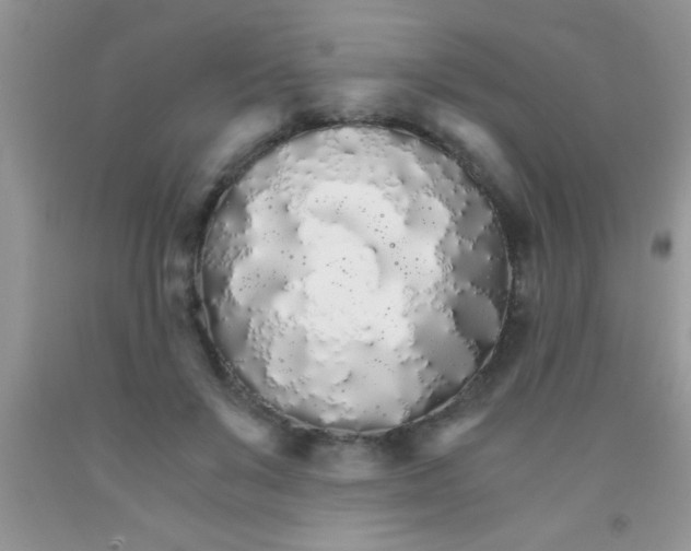 X0000091340503200709071221