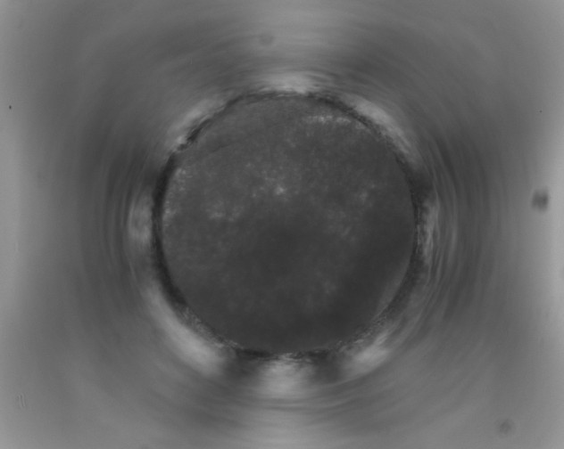 X0000091340504200709071221