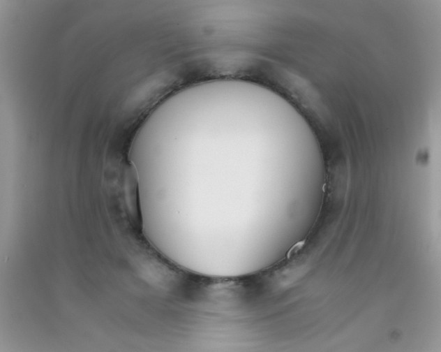 X0000091340505200709071221