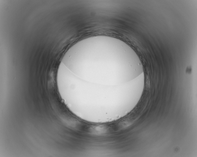 X0000091340506200709071221