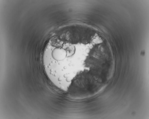 X0000091340507200709071221