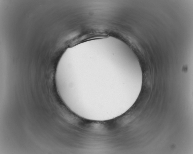 X0000091340509200709071221