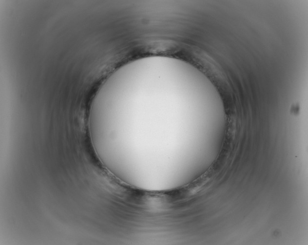 X0000091340510200709071221