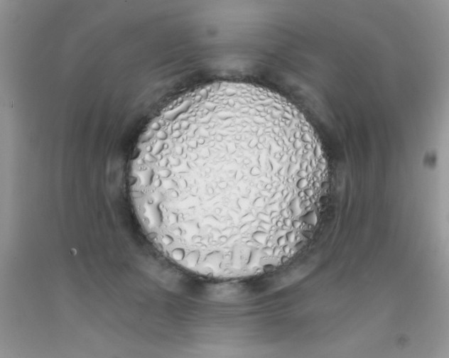 X0000091340511200709071221