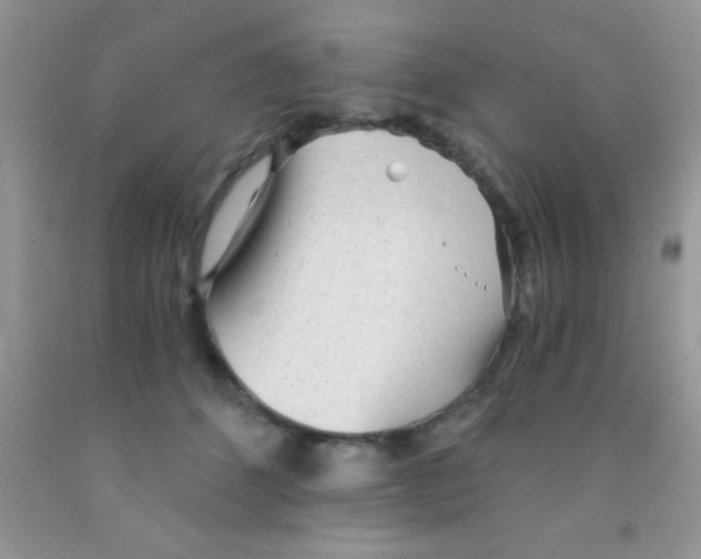 X0000091340512200709071221