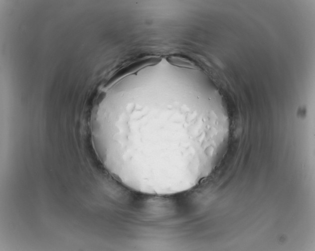 X0000091340515200709071221