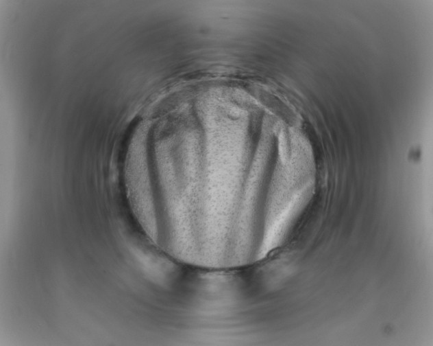 X0000091340516200709071220