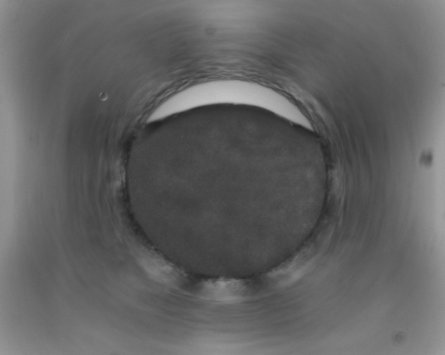 X0000091340517200709071220