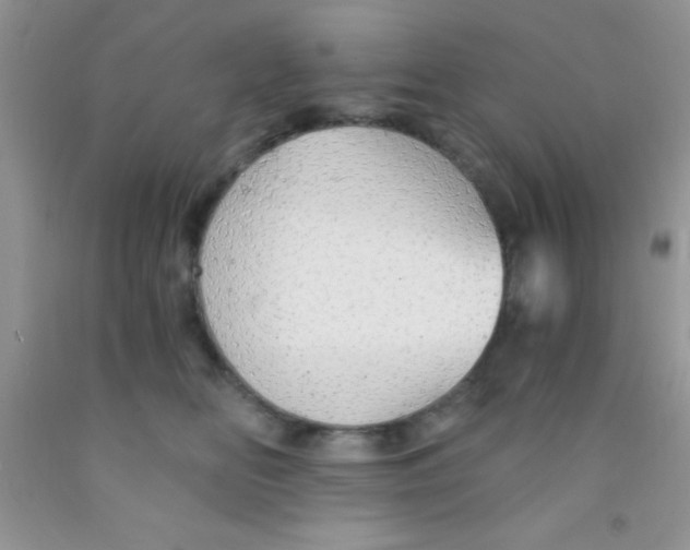 X0000091340518200709071220