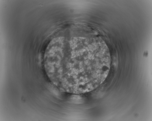 X0000091340519200709071220