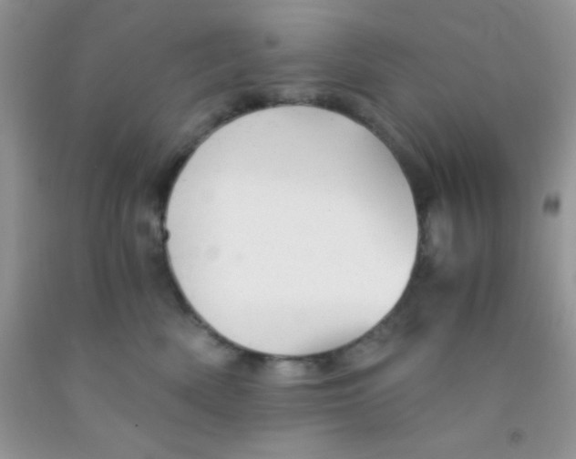 X0000091340522200709071220