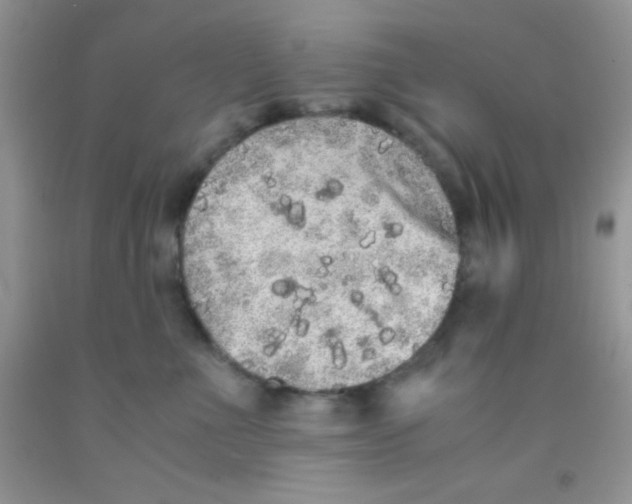 X0000091340523200709071220