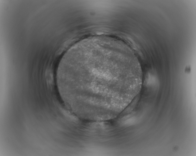 X0000091340524200709071220