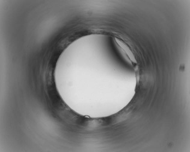 X0000091340525200709071220