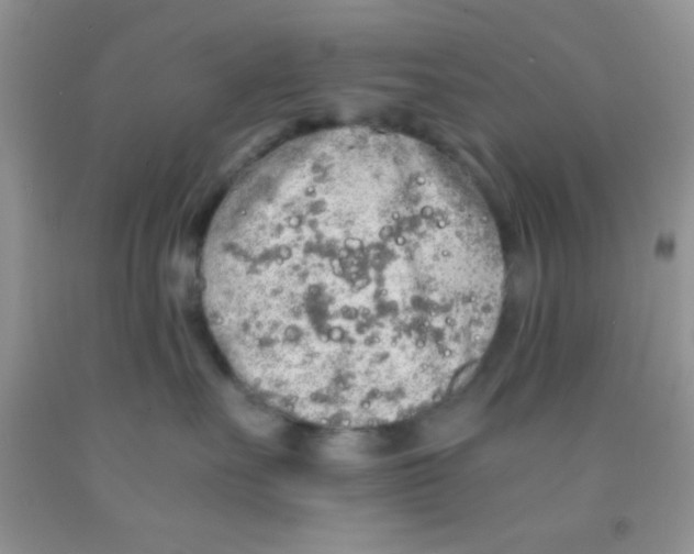 X0000091340527200709071220