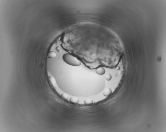 X0000091340529200709071220