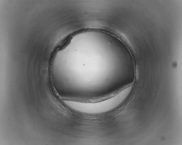 X0000091340531200709071220