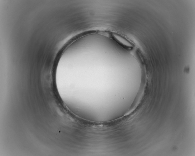 X0000091340532200709071220