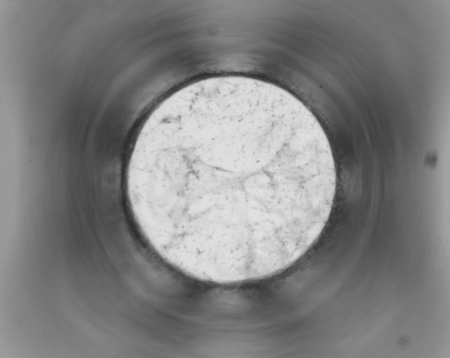 X0000091340534200709071220