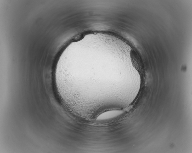 X0000091340535200709071220