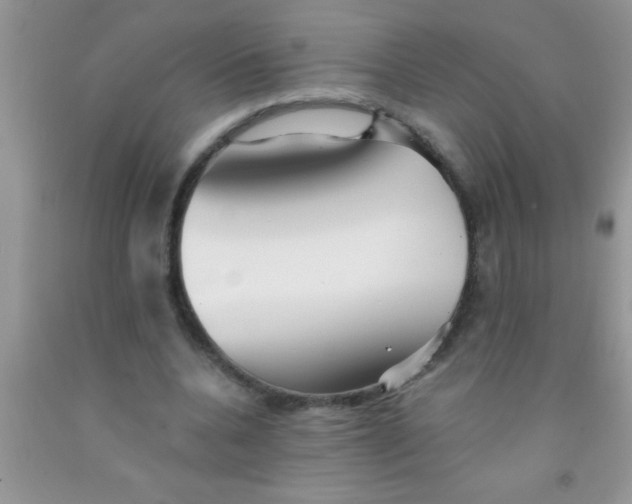 X0000091340536200709071220