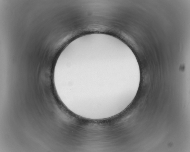 X0000091340538200709071220