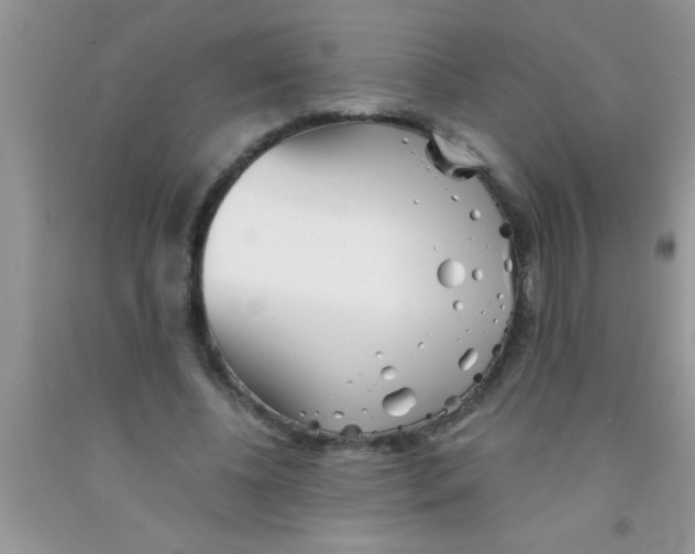 X0000091340540200709071220