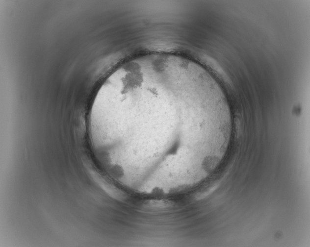 X0000091340541200709071220