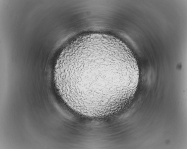 X0000091340542200709071220