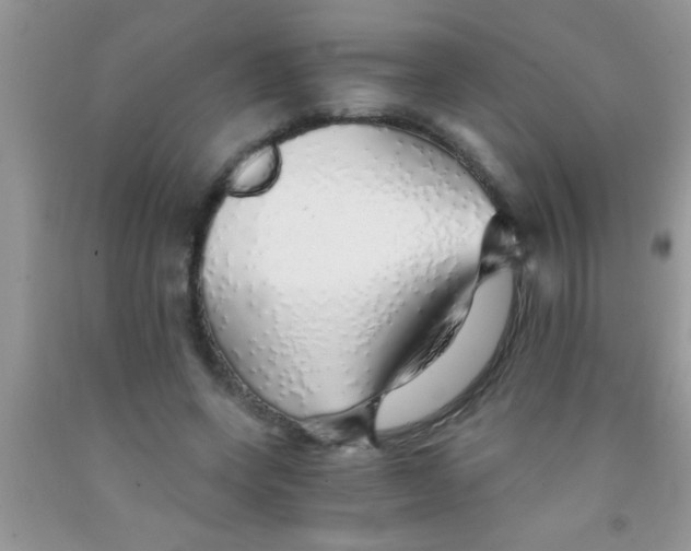 X0000091340543200709071220