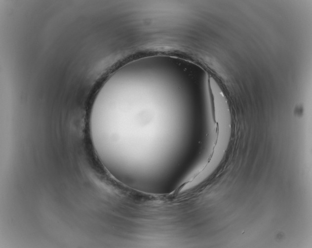 X0000091340544200709071220