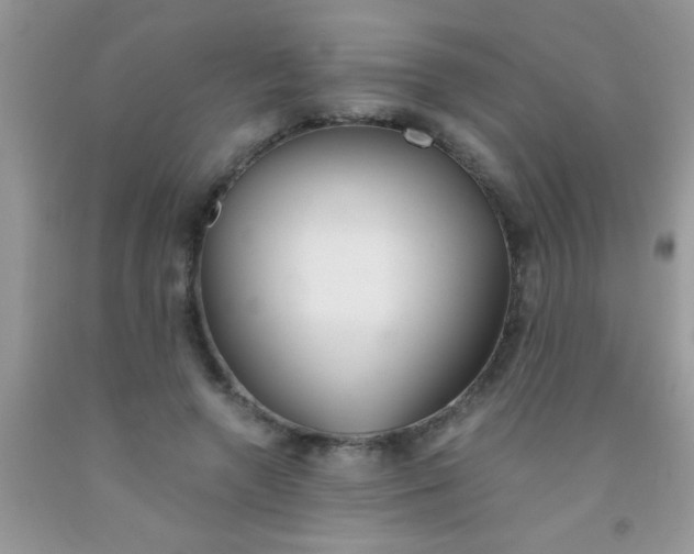 X0000091340546200709071220