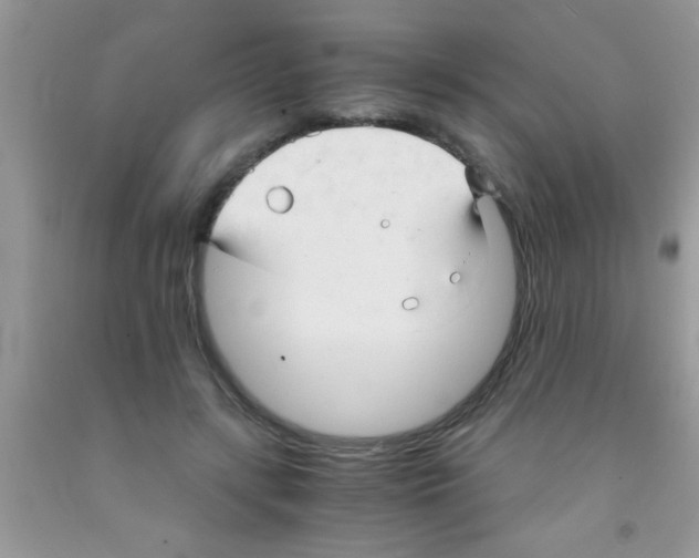 X0000091340547200709071220