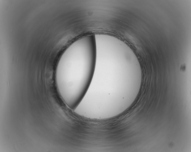 X0000091340548200709071220