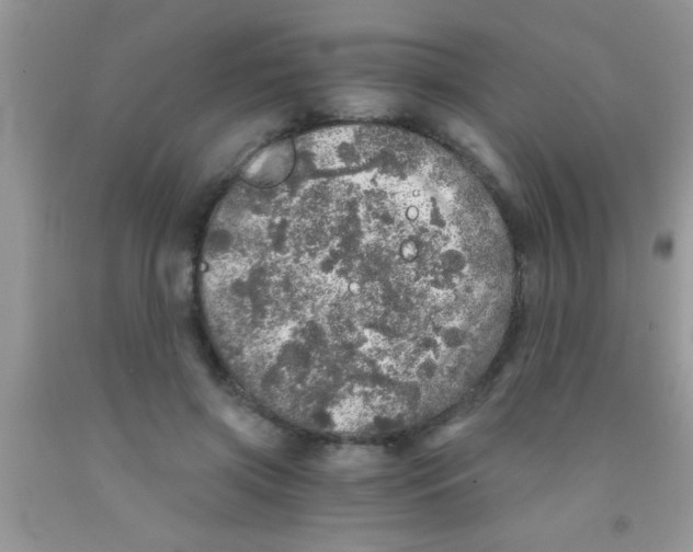 X0000091340549200709071220