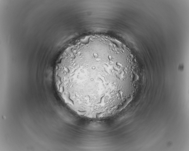 X0000091340550200709071220