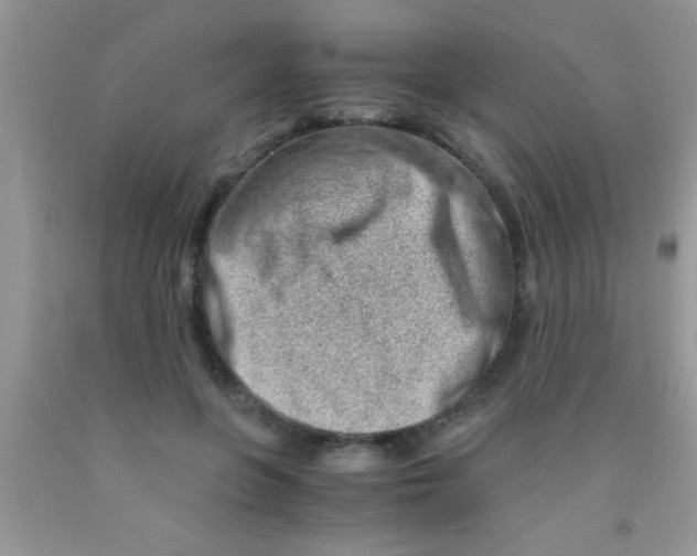 X0000091340551200709071220