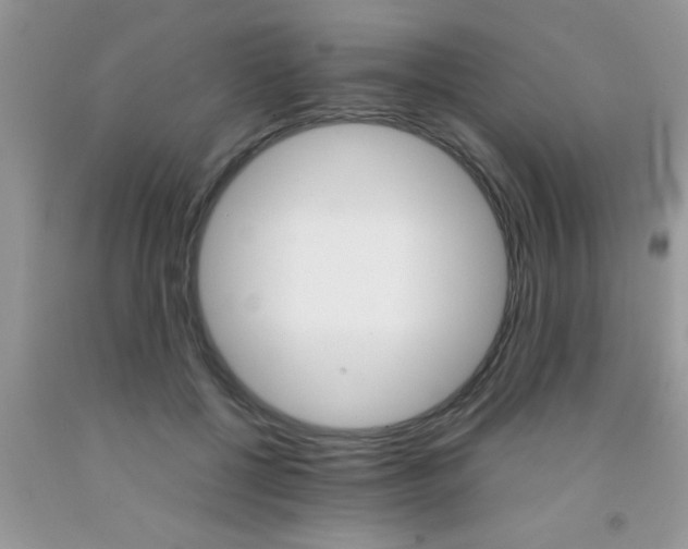 X0000091340552200709071220